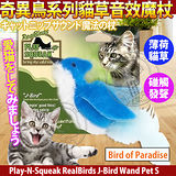美國Play-N-Squeak狂野森林》奇異鳥系列貓草音效魔杖-天堂鳥