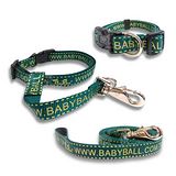【Babyball】頸圈+拉帶+抗暴衝乖乖帶(尺寸:M)