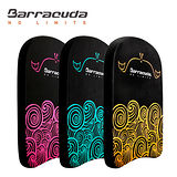 美國巴洛酷達Barracuda 兒童設計游泳訓練浮板 WHALE COMPACT