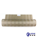 【LOTUS樂德】時尚系列-淺棕色橫紋餐桌墊(2入)
