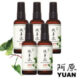阿原-魚腥草洗手水(乾洗手)五入