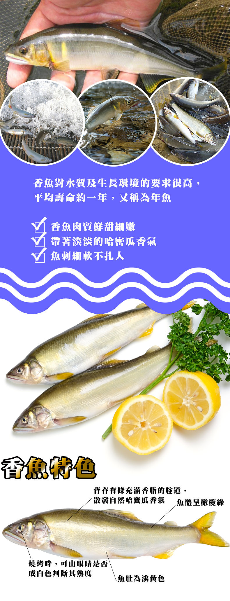 买一送一【海鲜主义】高山香鱼(母(100g/尾)