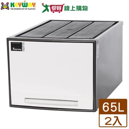 聯府 抽屜整理箱(AM-65)x2入【免運直出】