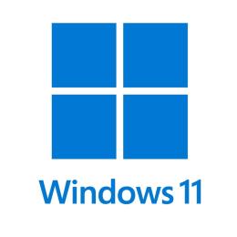 加購WIN11專業彩盒版-64位元