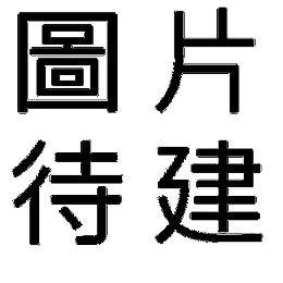 威剛 R-81PLC 快充轉接器
