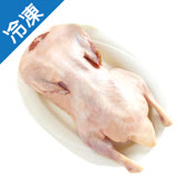 國產土番鴨(去頭腳翅)1.3～1.4公斤/隻