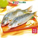 臺灣七星鱸魚500~600G/尾【愛買】