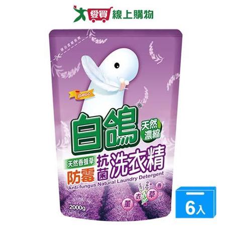 白鴿香蜂草抗菌洗衣精補充包2000gx6入(箱)