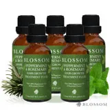 BLOSSOM薄荷迷迭香植萃調理養髮液(50ML/瓶)*5入組