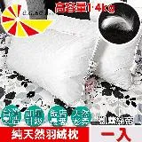 【凱蕾絲帝】台灣製造專櫃級100%純天然超澎柔羽絨枕(1入)1.4kg