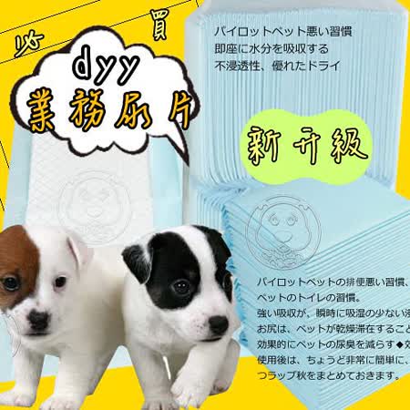 dyy 經濟包
抗菌除臭尿布墊6包組
