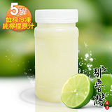 【那魯灣】鮮榨冷凍純檸檬原汁5瓶(230g/瓶)