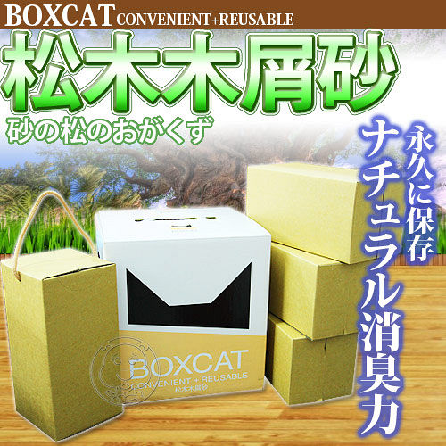 國際貓家》BOXCAT 松木木屑砂黃標經濟盒13L15磅