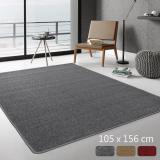 范登伯格 華爾街☆簡單的地毯-(共三色)105x156cm 灰款