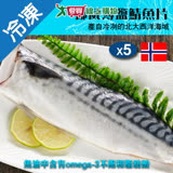 挪威鹽漬鯖魚片140~180G/片X5