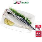 挪威鹽漬鯖魚片5片/組(140~180G/片)【愛買】