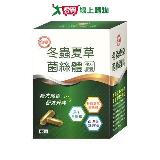 臺糖 冬蟲夏草菌絲體複方膠囊 60粒/盒【愛買】