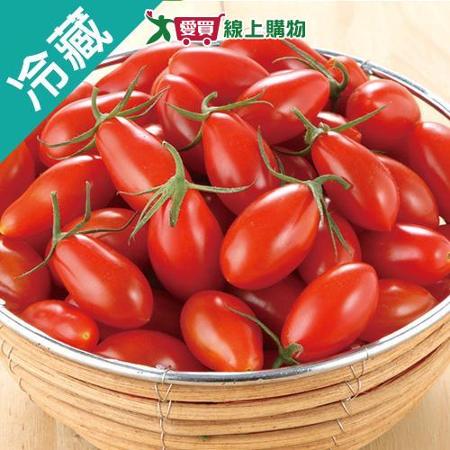 溫室玉女小番茄2盒(600g±5%/盒)