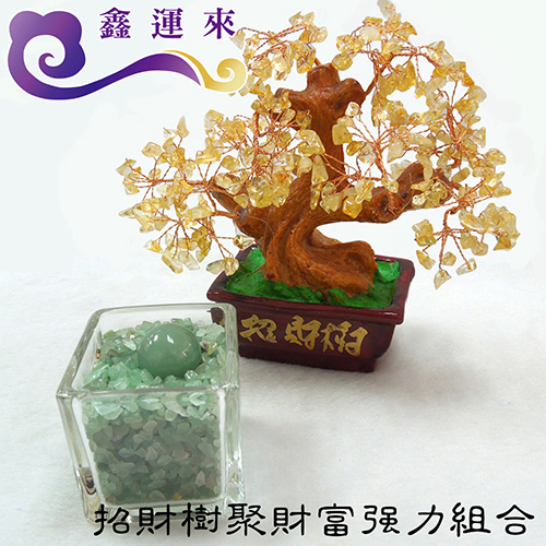 鑫運來- 黃水金
招財樹+東菱玉聚寶格