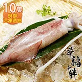 【幸福小胖】新鮮現撈活凍透抽10尾(長26～30cm/300g)