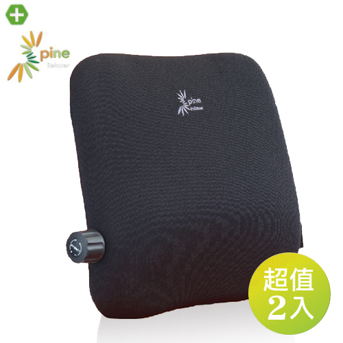 【Spine 舒背爾】可調式靠墊-商務版2入組 RS-866
