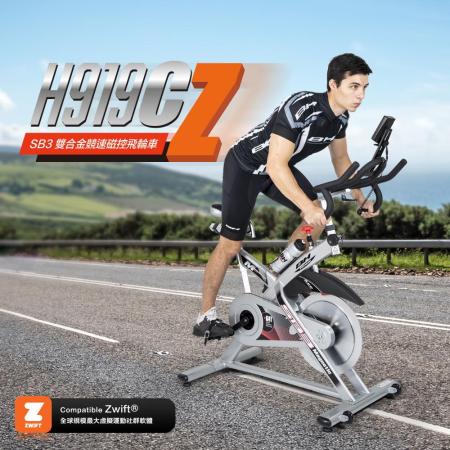 【BH】H919C SB3磁控飛輪健身車
