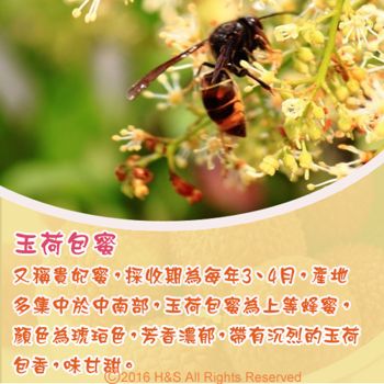 【瀚軒】極品玉荷包蜂蜜禮盒(700g)