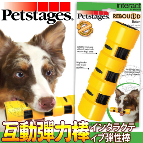 美國petstages》1155犬用玩具互動彈力棒-L號