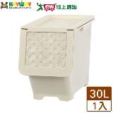 KEYWAY聯府 藤直取式整理箱KGB-301(30L)臺灣製 收納 置物【愛買】
