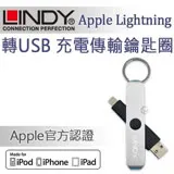 LINDY 林帝 Apple Lightning 轉USB充電傳輸鑰匙圈 時尚銀 (31396)