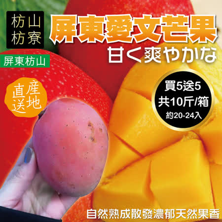買5斤送5斤
嚴選枋山愛文芒果