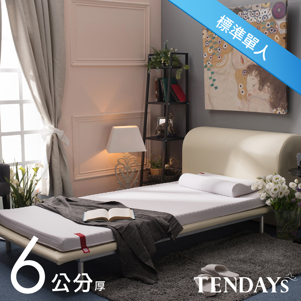 【TENDAYS】柔織舒壓床墊(標準單人3尺 6cm厚記憶床)