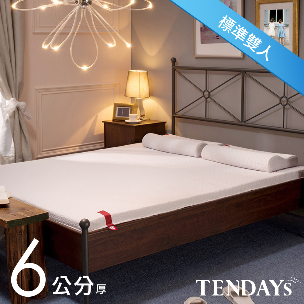 【TENDAYS】柔織舒壓床墊(標準雙人5尺 6cm厚記憶床)+造型萬用枕(超值組合)