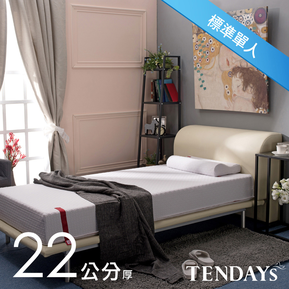 【TENDAYS】柔織舒壓床墊(標準單人3尺 22cm厚記憶床)
