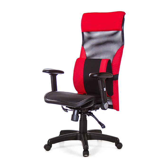 GXG 高背電腦椅 (摺疊扶手/大腰枕) TW-170 EA1