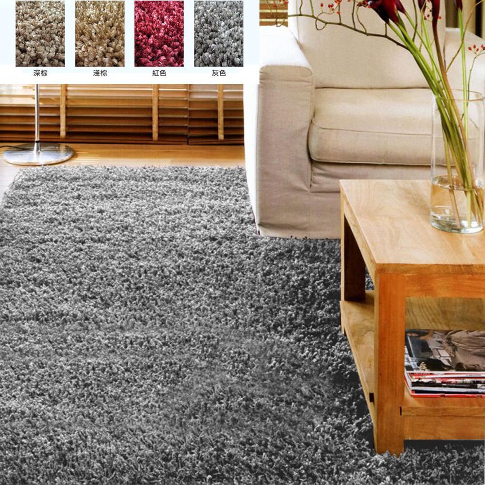 【范登伯格】新艾菲爾絲絨光澤長毛地毯(3CM-共三色)130x200cm