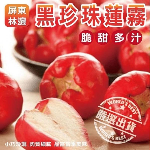 【果之蔬】頂級林邊黑珍珠蓮霧禮盒(11~13顆入/約2kg±10%)