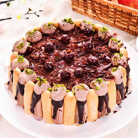 預購-樂活e棧-生日快樂蛋糕-精緻濃郁黑魔豆盆栽蛋糕(6吋/顆,共1顆)