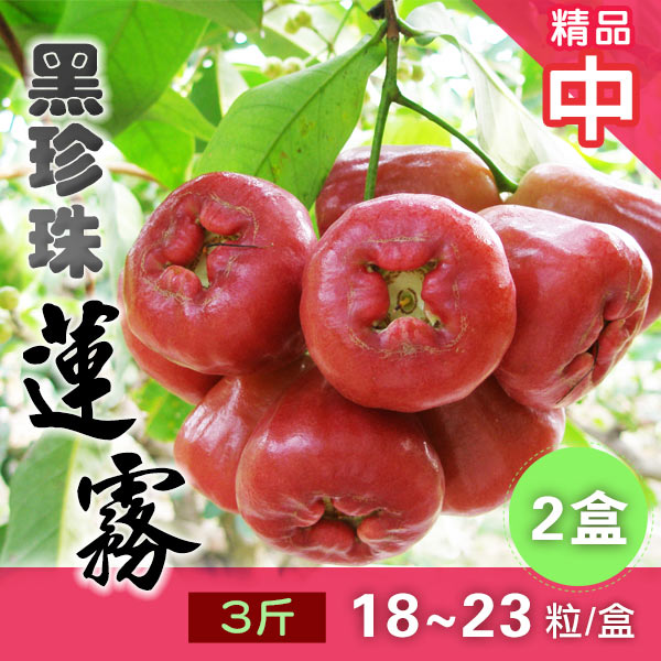 家購網嚴選 屏東枋寮
黑珍珠蓮霧3斤禮盒X2