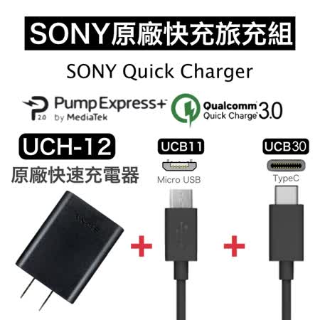 Sony 原廠快充電組