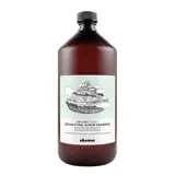 Davines 達芬尼斯 深層淨化洗髮露 1000ml