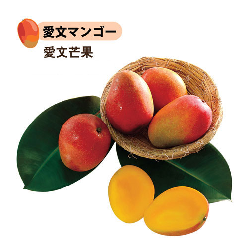 愛文芒果 2.5kg