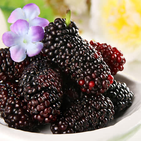 食在鮮味
黑鑽鮮凍桑椹4盒