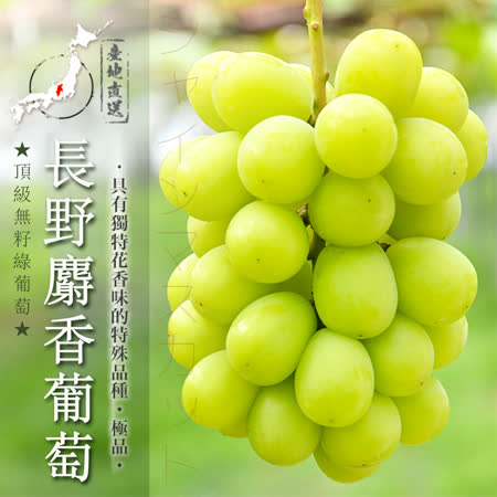 日本長野
頂級麝香葡萄