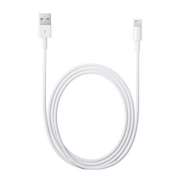 Apple iPhone, iPad, iPod Lightning 對 USB 連接線 (1公尺)
