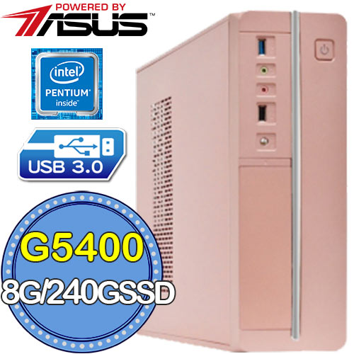 華碩H310平台【雁作魔導】G系列雙核 SSD 240G效能電腦