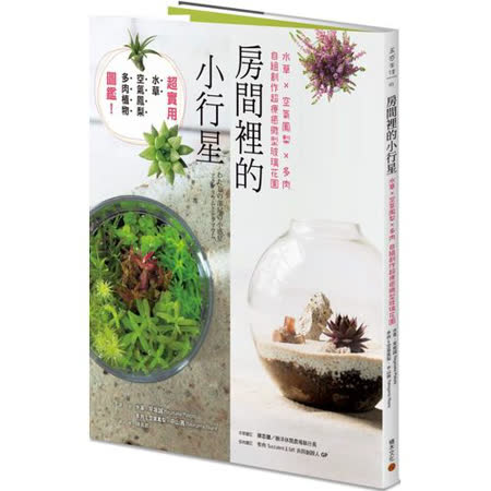 水草x空氣鳳梨x多肉 自組超療癒微型玻璃花園
