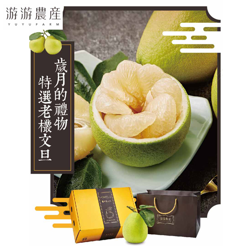 提貨券-游游農產 正宗麻豆50年老欉文旦