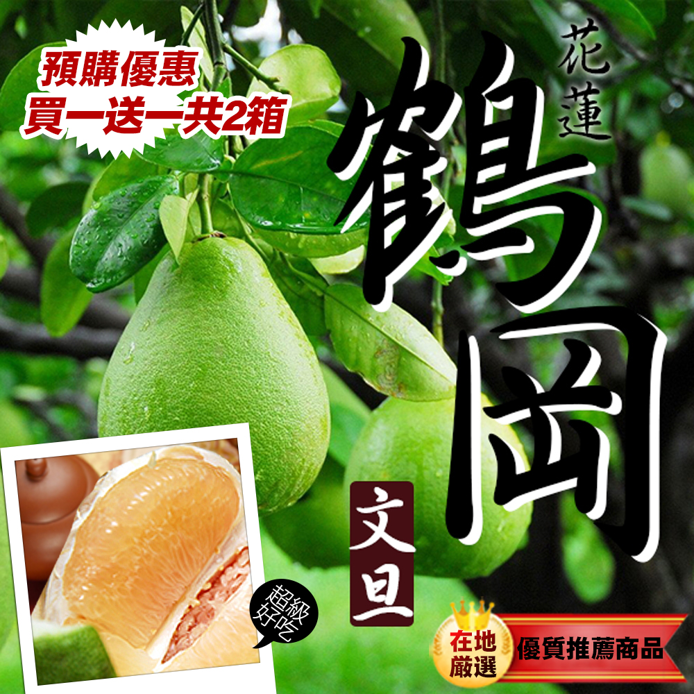 台北濱江40年老欉
鶴岡文旦10台斤/盒