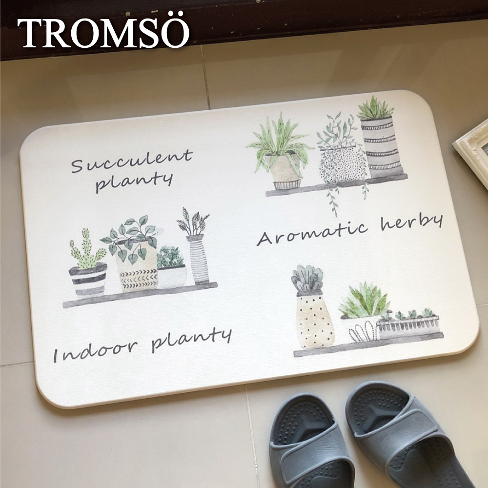 TROMSO珪藻土厚實吸水地墊-北歐小盆栽